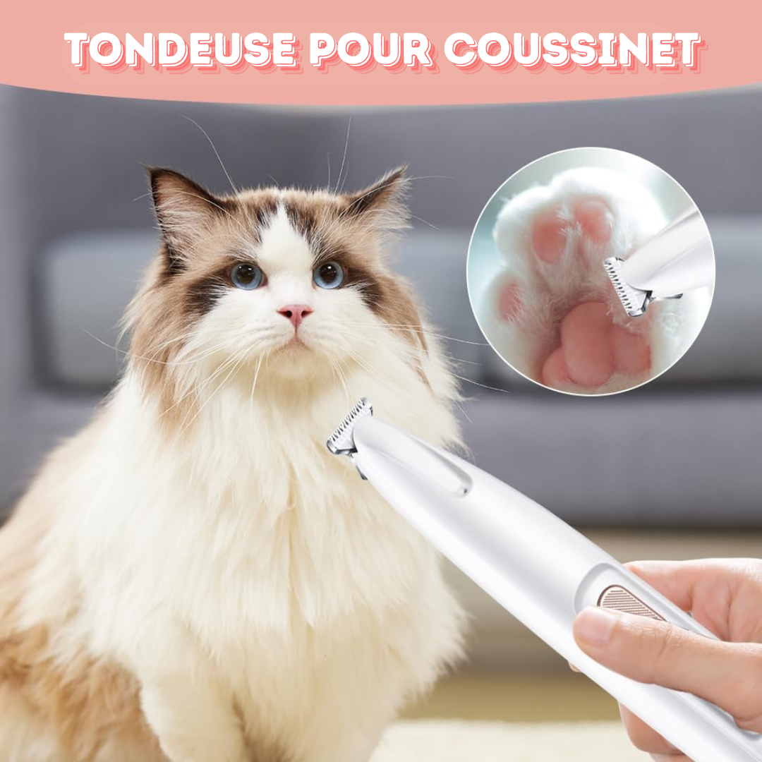 Tondeuse pour pattes d'animaux de compagnie