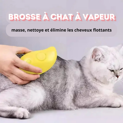 Brosse électrique à vapeur : Soin sain et écologique pour chats et chiens