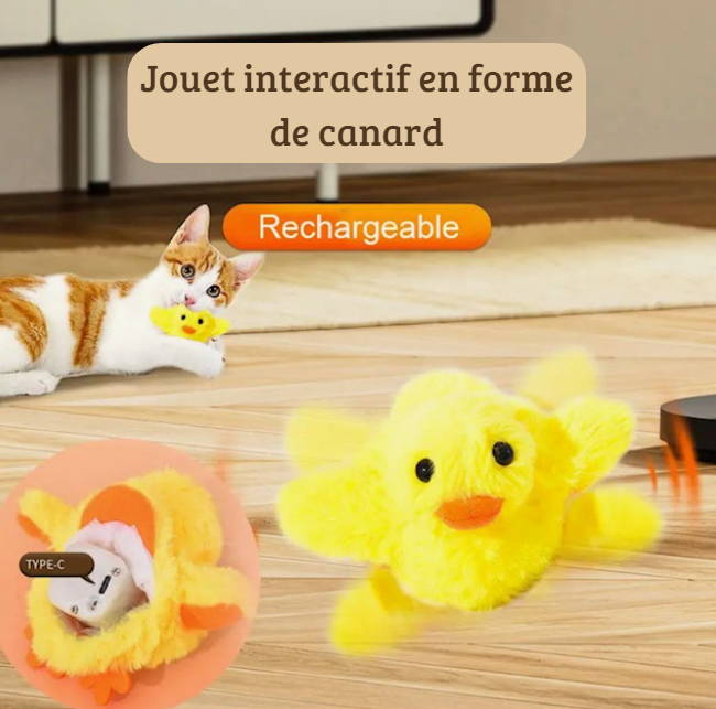 Jouet pour chat interactif