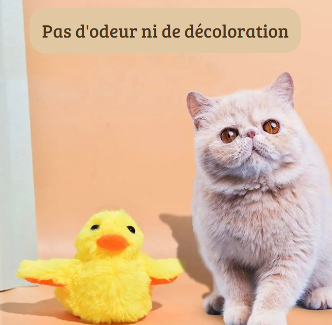 Jouet pour chat interactif